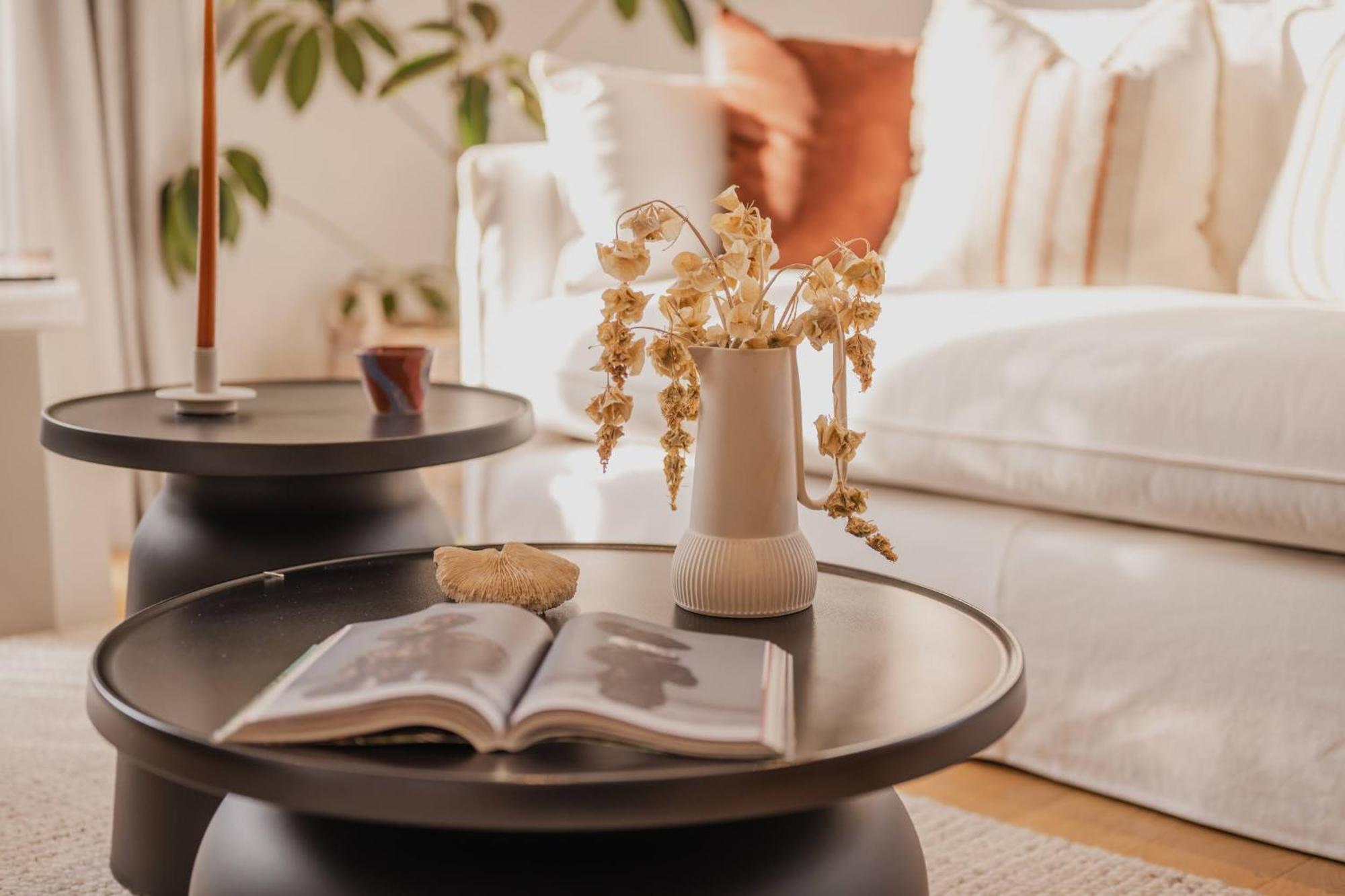 Chic And Contemporary Living At Cambridge Terrace Villa Christchurch Eksteriør bilde